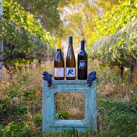 Crowsnest Vineyards Guesthouse Keremeos Dış mekan fotoğraf