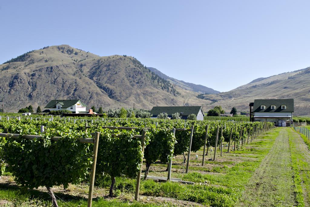 Crowsnest Vineyards Guesthouse Keremeos Dış mekan fotoğraf