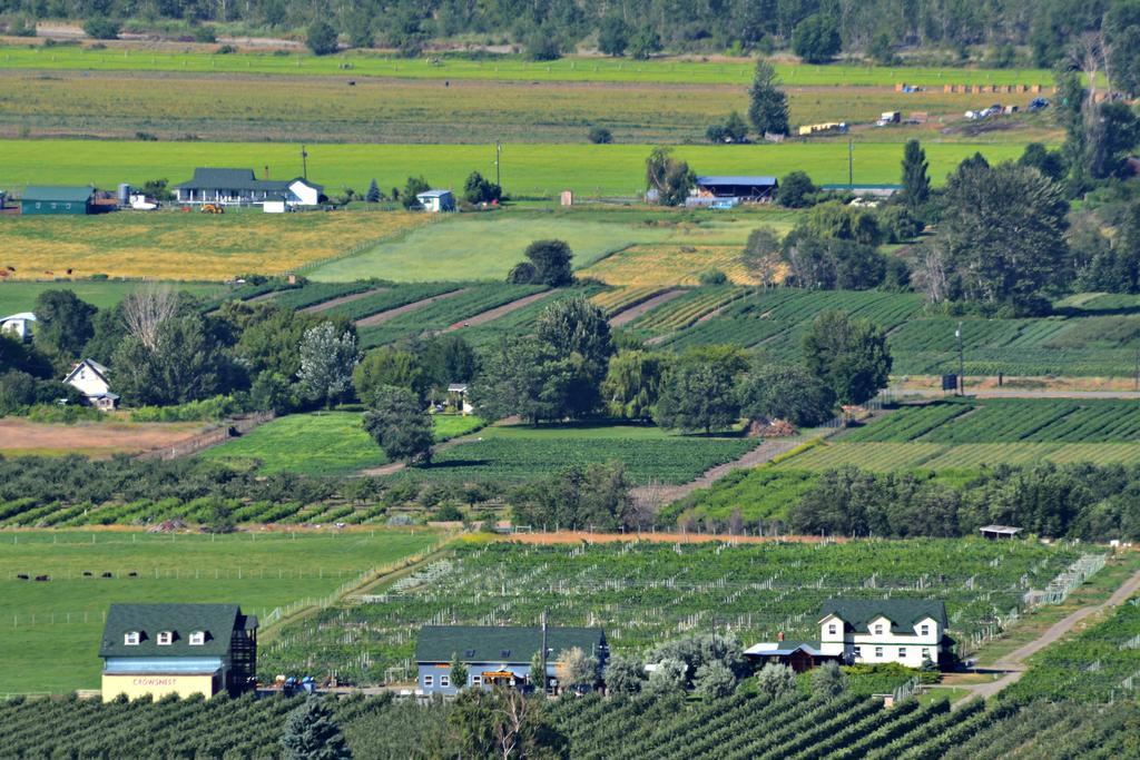 Crowsnest Vineyards Guesthouse Keremeos Dış mekan fotoğraf