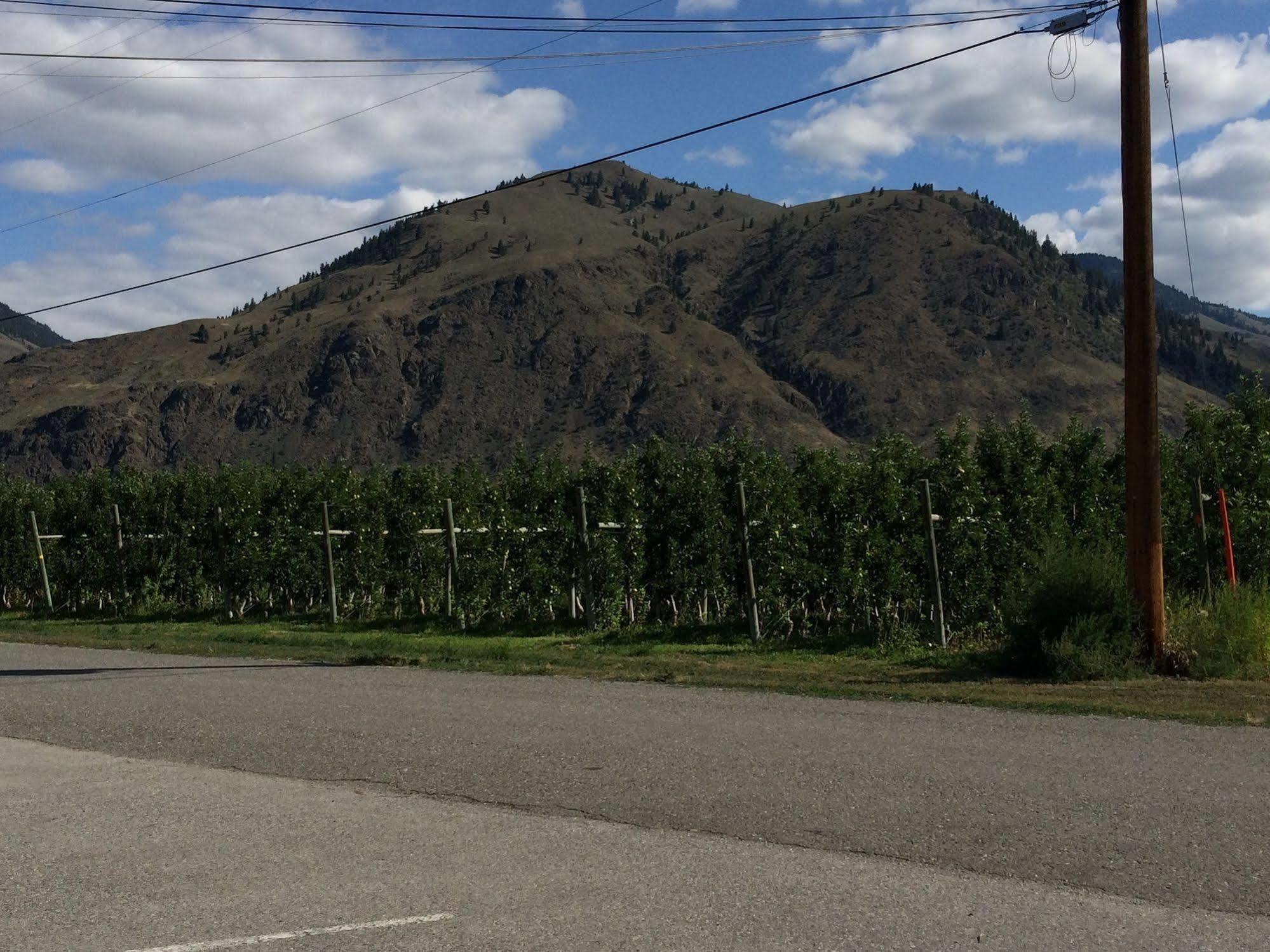 Crowsnest Vineyards Guesthouse Keremeos Dış mekan fotoğraf