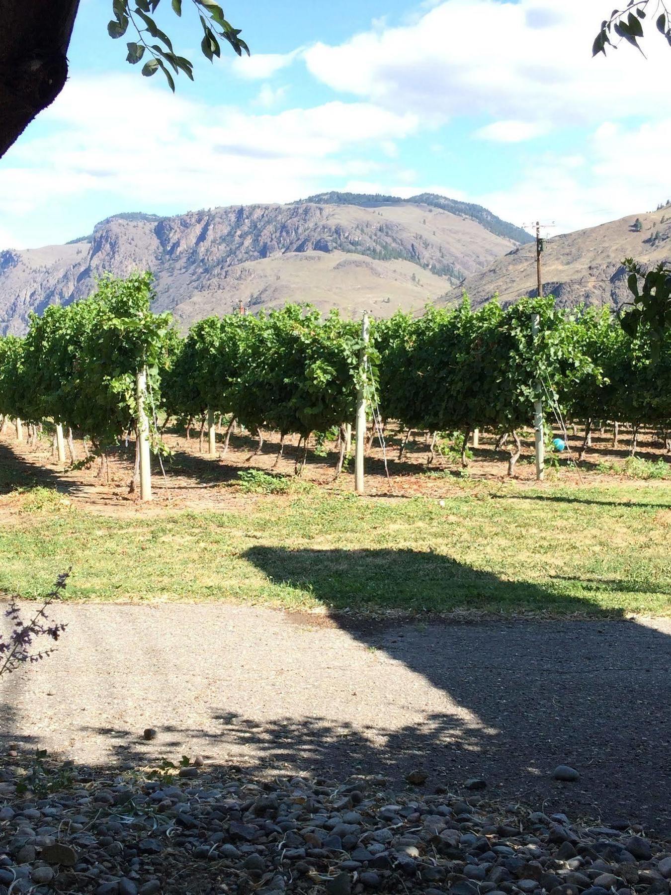 Crowsnest Vineyards Guesthouse Keremeos Dış mekan fotoğraf
